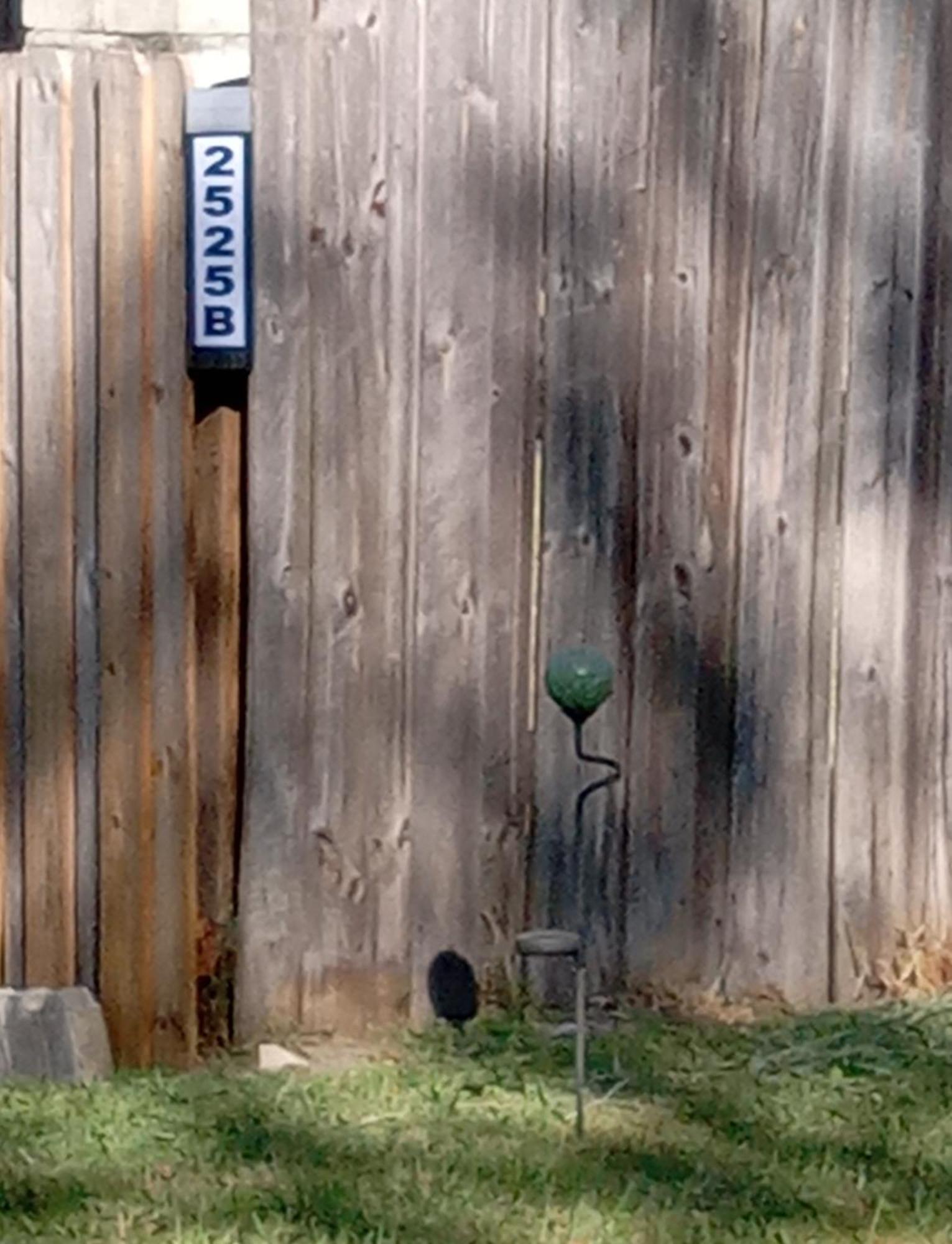 Country Cottage キシミー エクステリア 写真